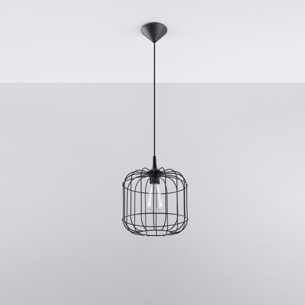 Produit entier suspendu sur fond gris clair, rosace, câble et cage visibles