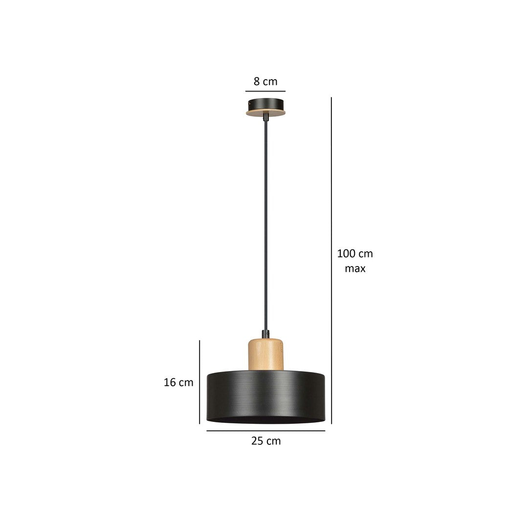 Schéma coté indiquant 25 cm de diamètre, 16 cm de hauteur et 100 cm de câble.