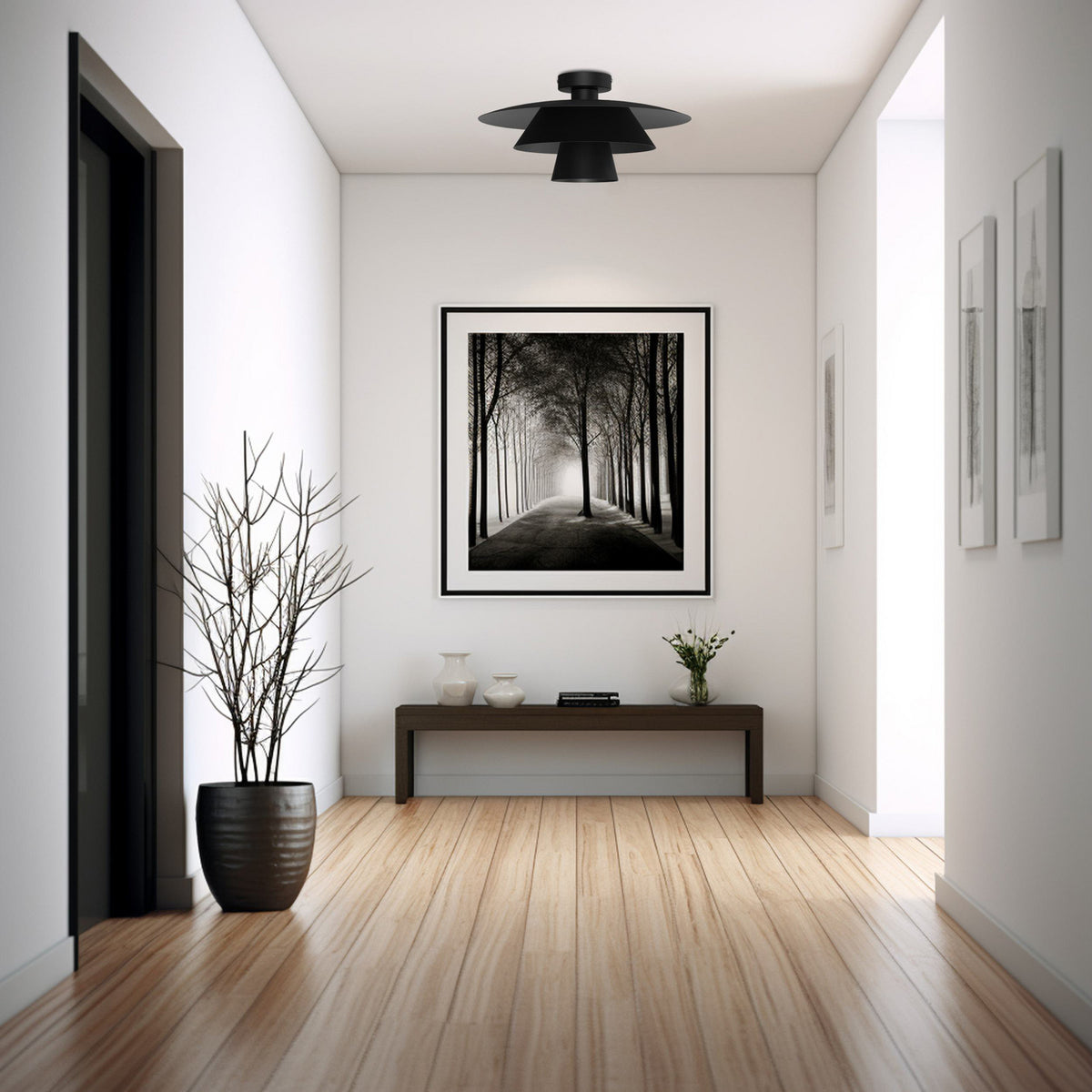 Vue d'ensemble dans un couloir clair avec console et plante