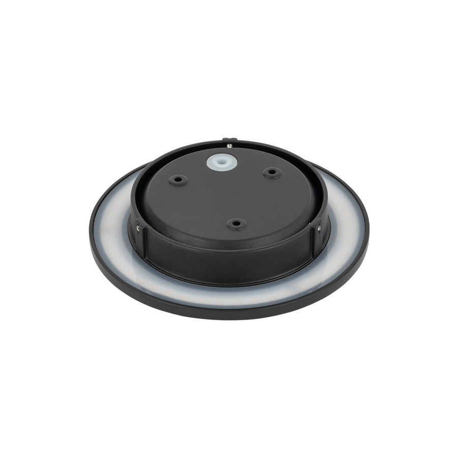 Applique murale LED Aria M en aluminium, noir, Ø 18 cm, IP54