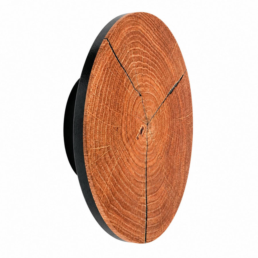 Applique murale LED Havana S en bois, noir mat, Ø 19 cm, IP44, 12 W