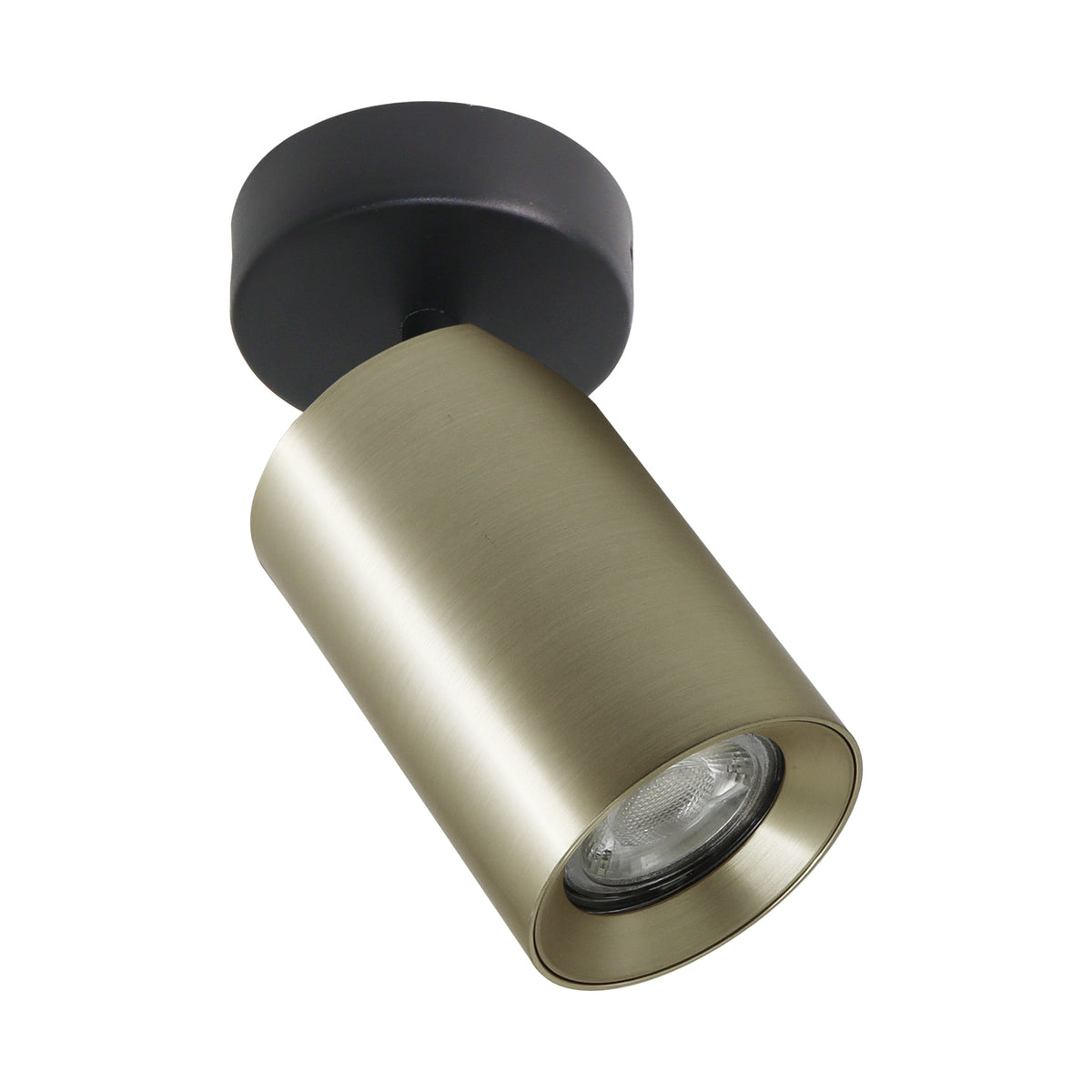 Vue de face du spot cylindrique doré brossé orientable sur embase noire.