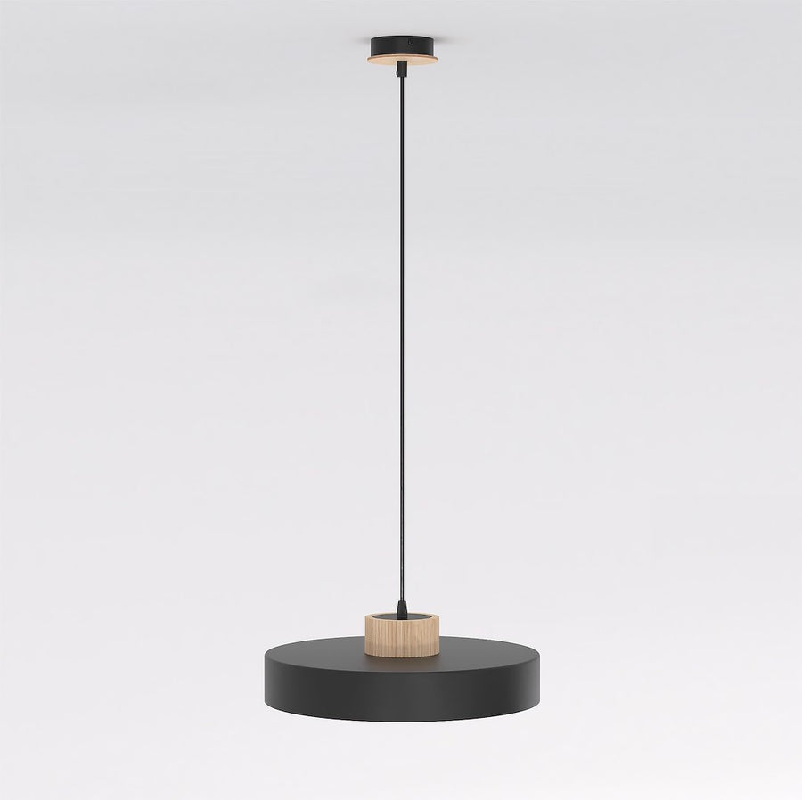 Second angle du produit montrant le disque plat et la fixation bois