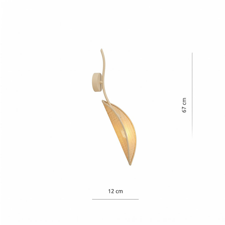 Schéma coté de l'applique : hauteur 67 cm et largeur 12 cm environ.