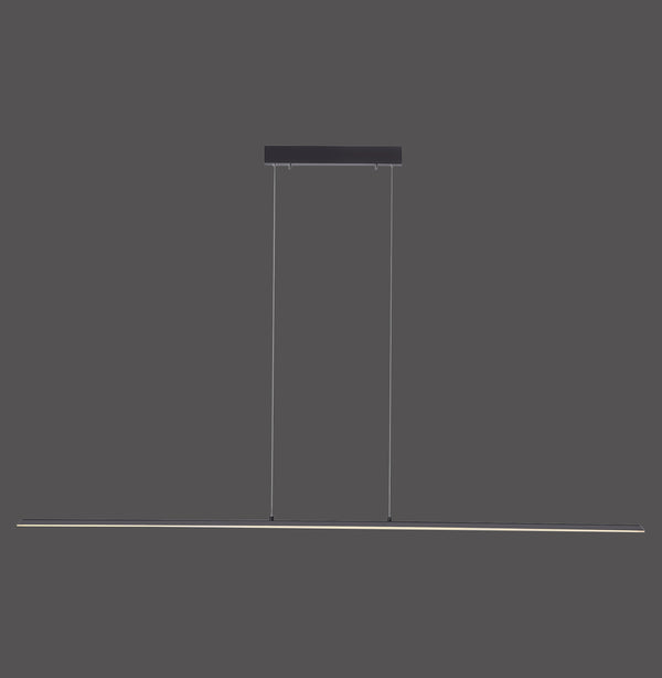 Suspension luminaire | Pure-Lite