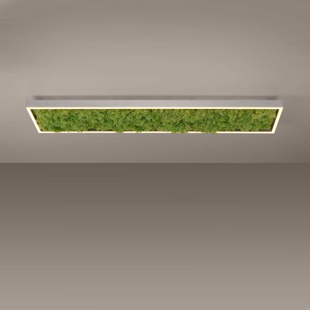 Vue rapprochée du plafonnier allumé, mousse verte et cadre lumineux sous plafond.