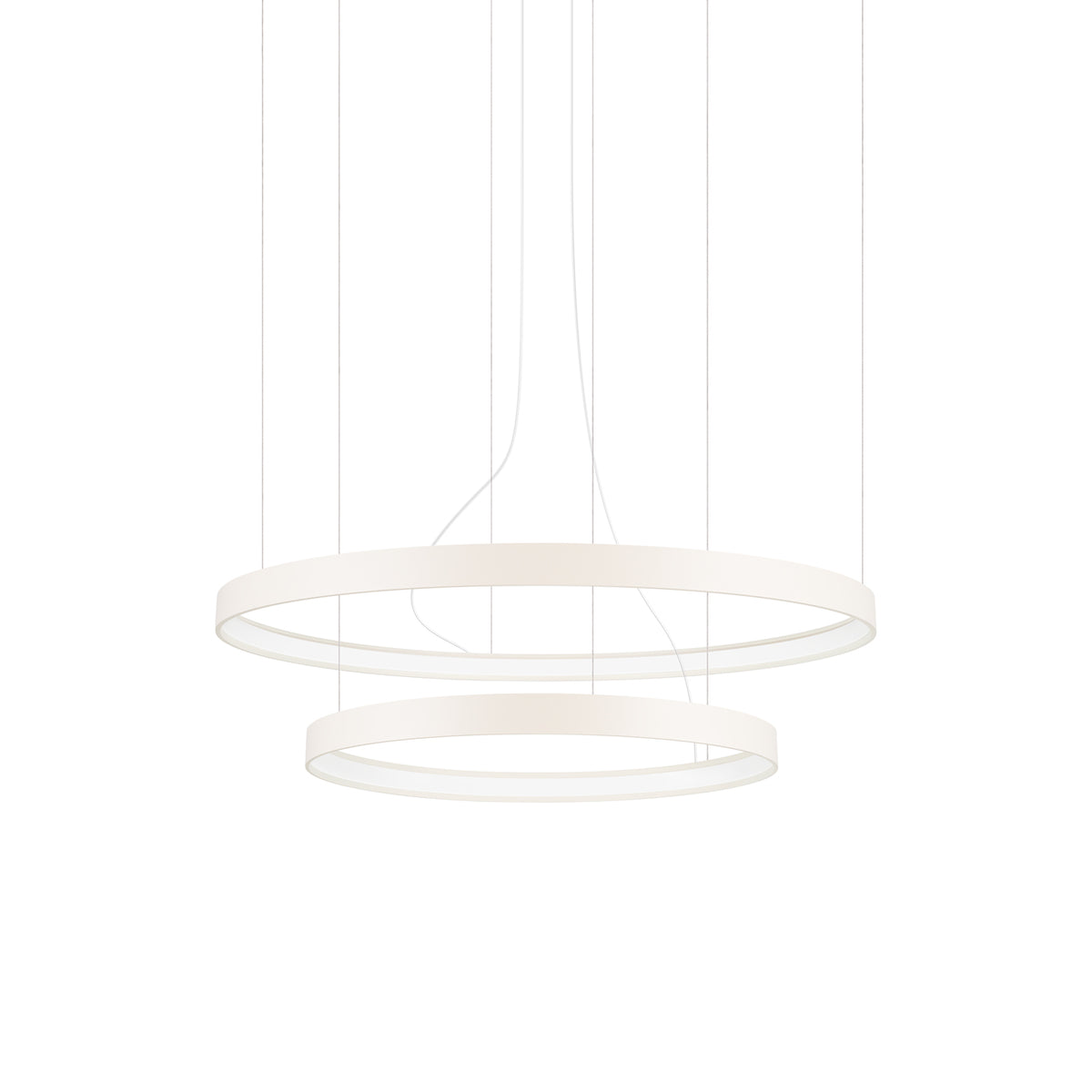 Lustre à deux anneaux blancs concentriques suspendus par de fins câbles, vue de face sur fond clair.