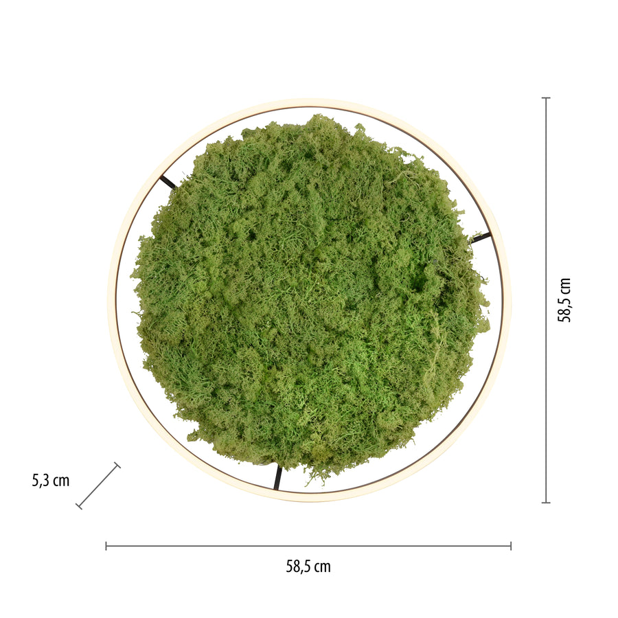 Plafonnier Green Ritus, L 58,5 cm