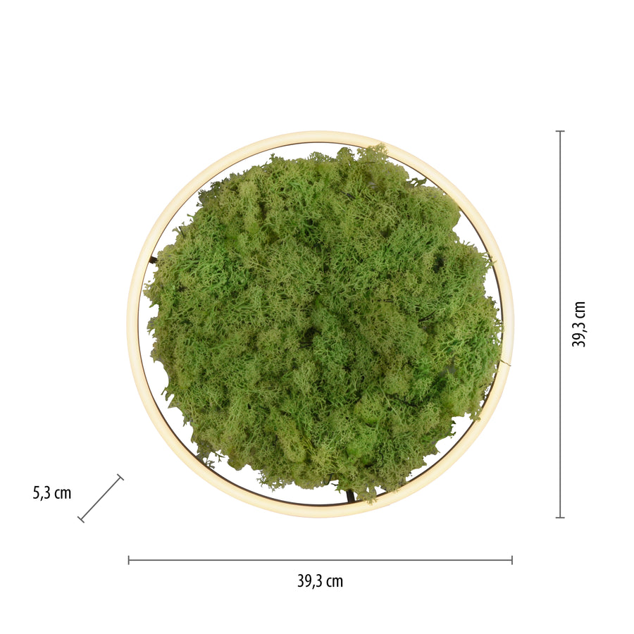 Plafonnier Green Ritus, L 39,3 cm