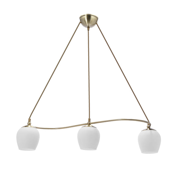 Suspension luminaire | Alanelica