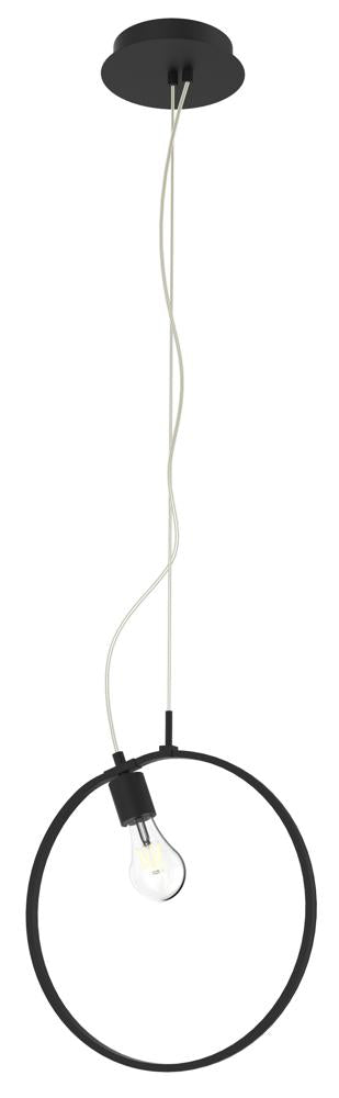 Suspension noire avec anneau et ampoule visible, vue de face sur fond blanc