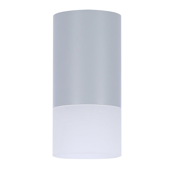 Spot plafond Tube givré et blanc