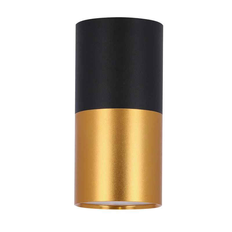 Spot plafond Tube noir