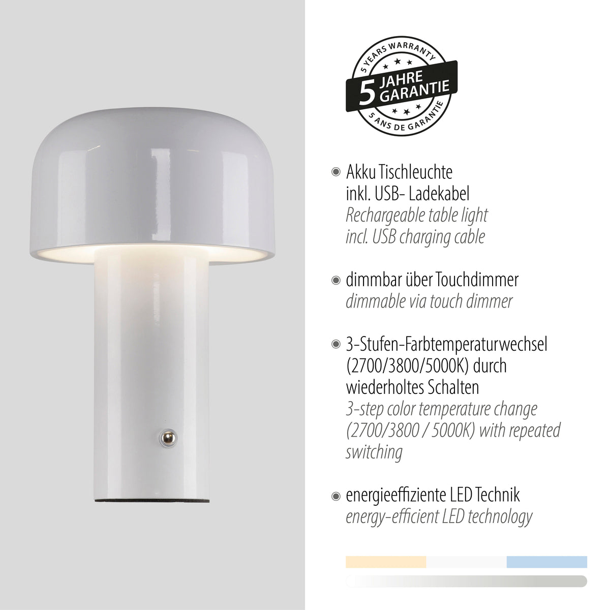 Fiche technique avec tampon cinq ans de garantie et rappel des fonctions rechargeable et dimmable.