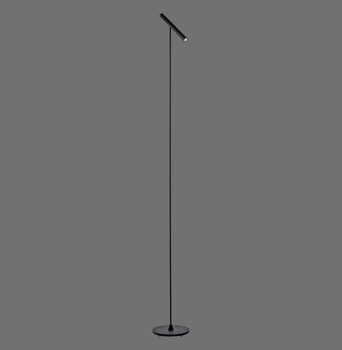 Lampadaire noir vu de profil sur fond gris, tige fine et tête tubulaire inclinée