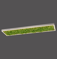 Plafonnier Green Knut