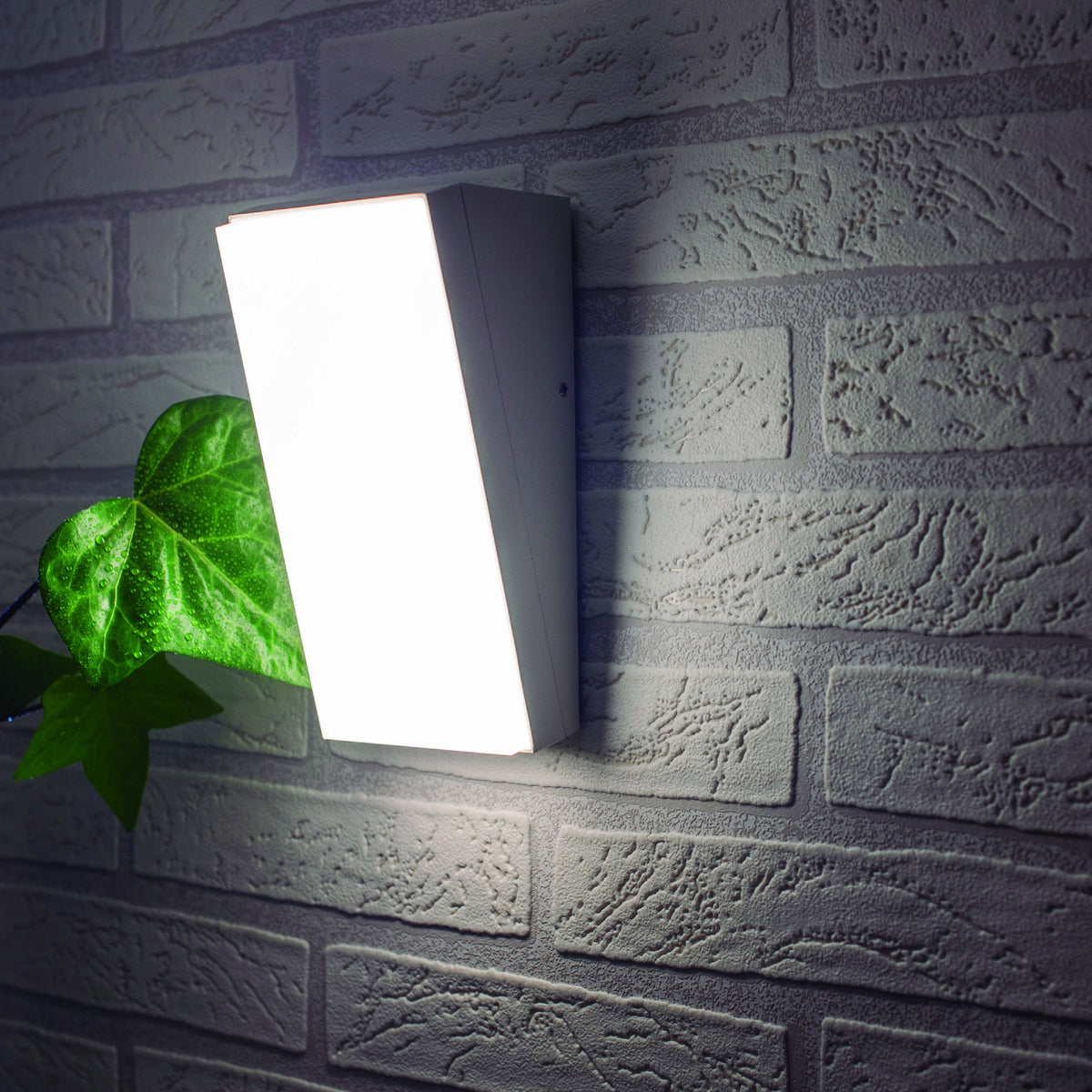 Applique extérieure LED Solden, IP65, L 9 cm