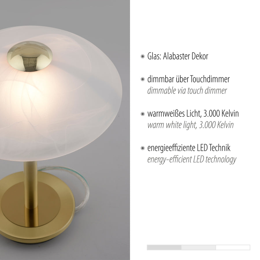 Détail du verre alabâtre et texte allemand sur variateur tactile et LED