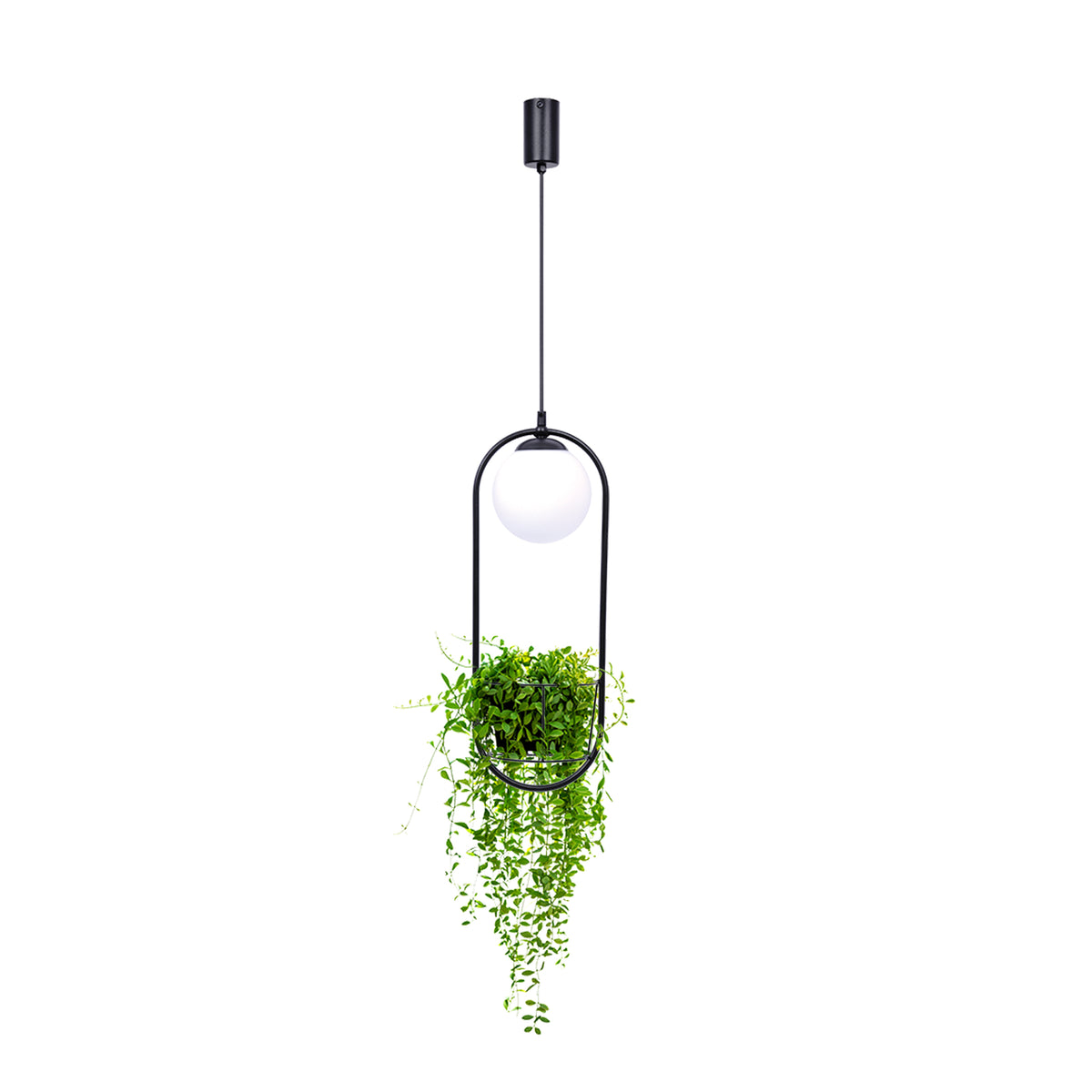 Produit suspendu avec plante verte installée dans le panier inférieur.