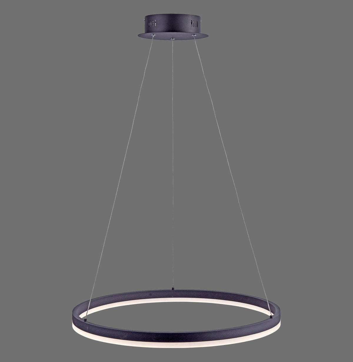 Suspension annulaire noire avec diffuseur blanc intégré, vue de face sur fond gris.