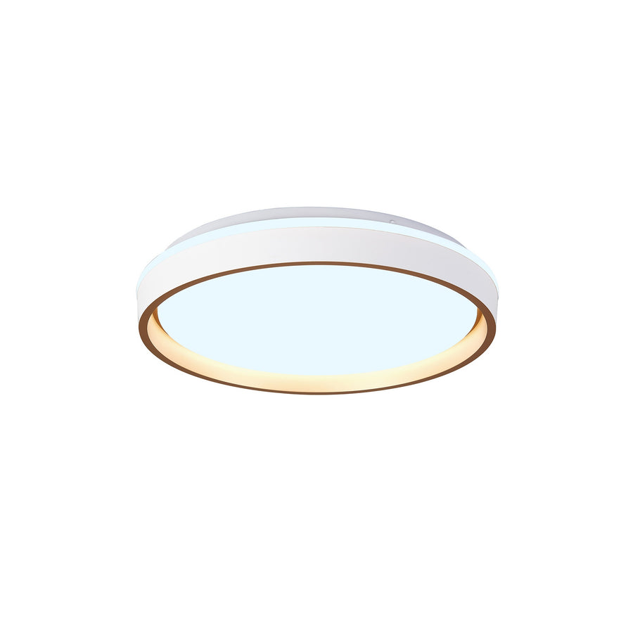Plafonnier LED Verona II avec télécommande, Ø 40 cm