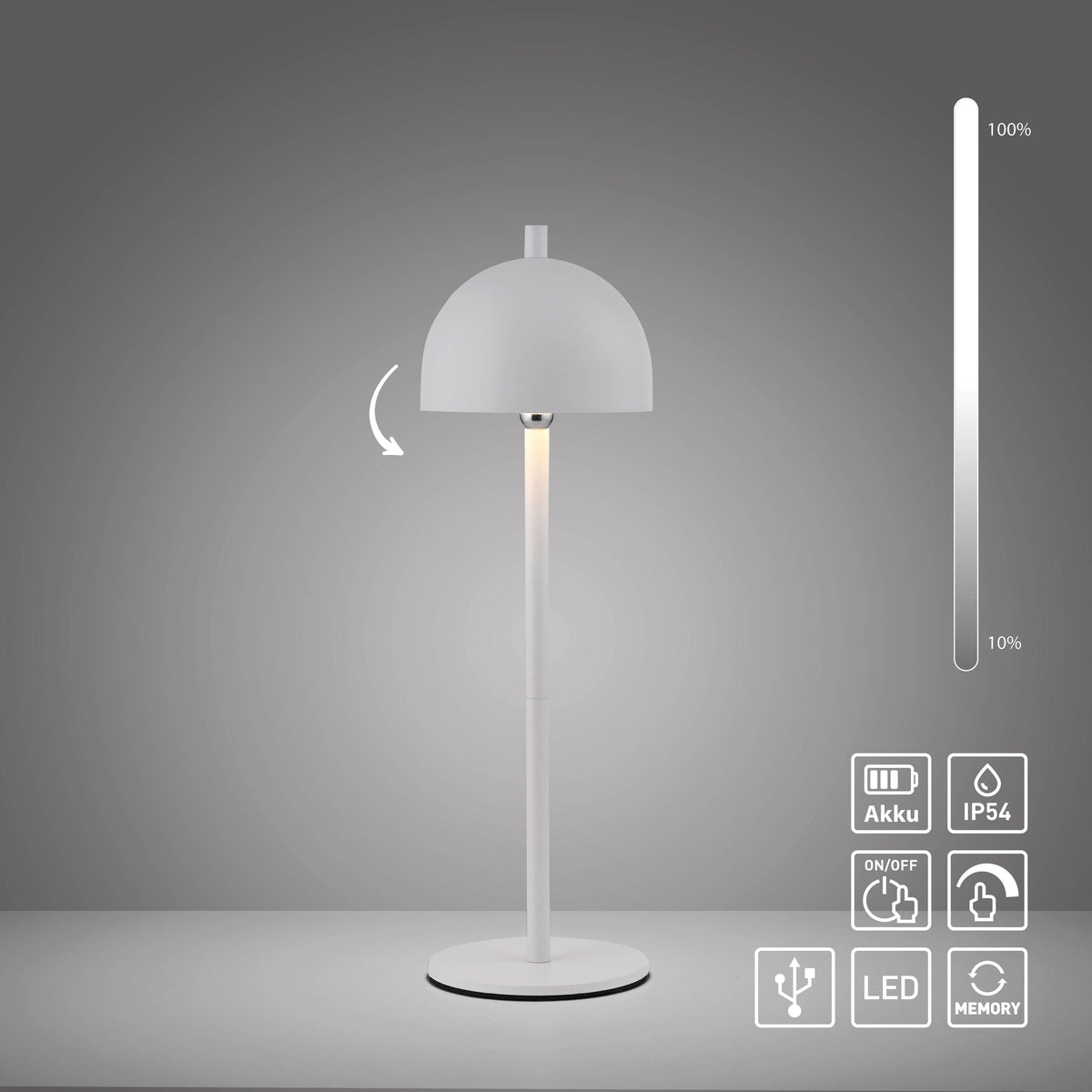 Visuel technique avec icônes batterie, IP54, variateur, USB et mémoire