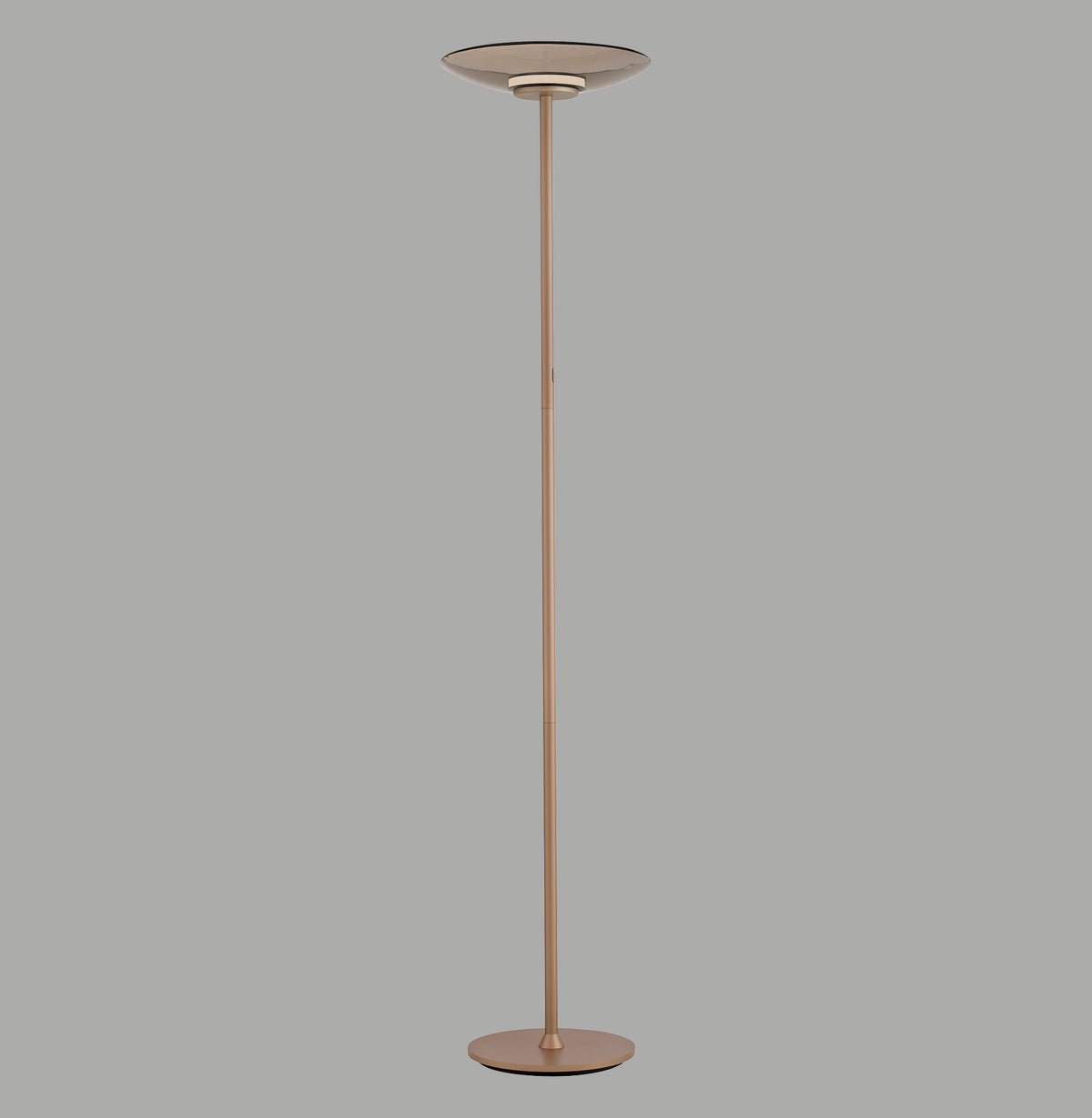 Lampadaire entier de face sur fond gris, tige fine et base ronde visibles.