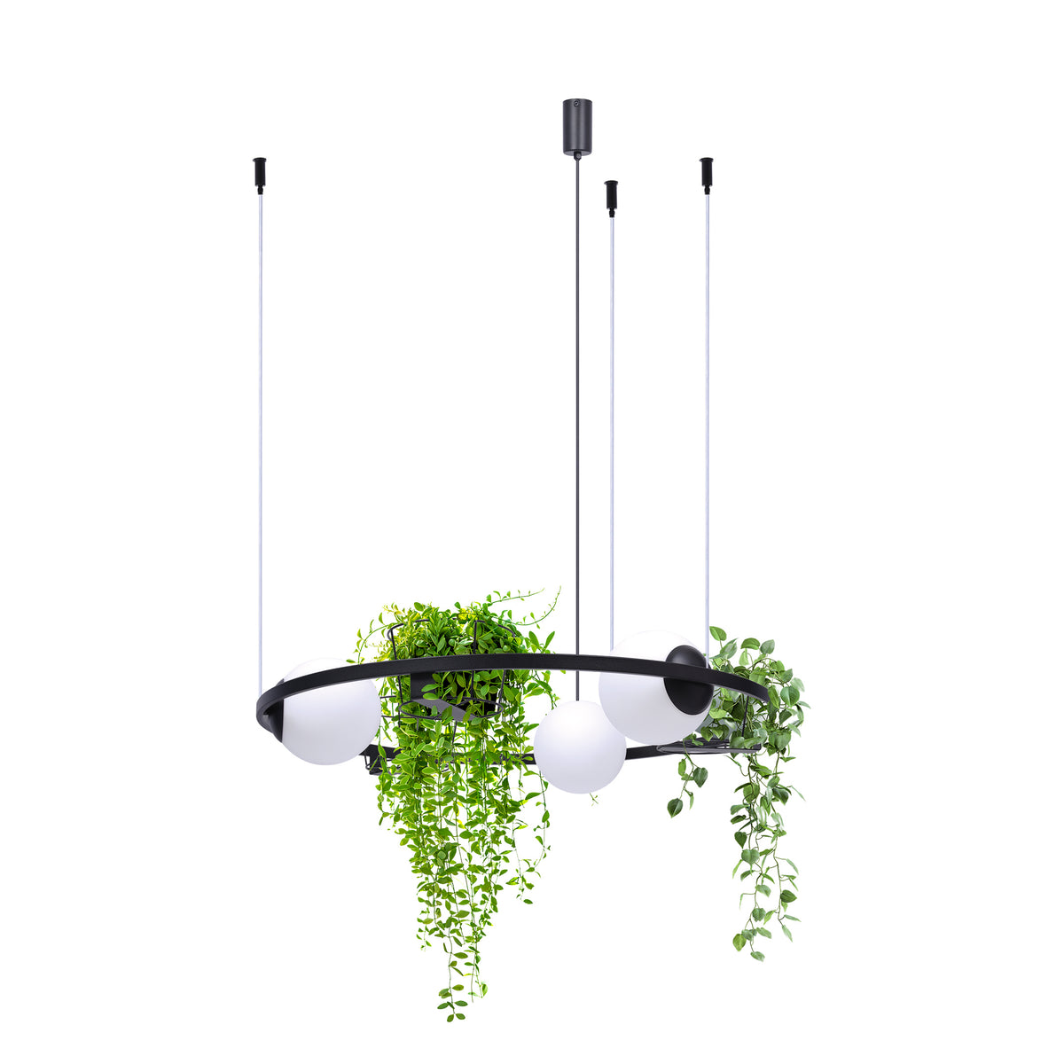 Luminaire suspendu garni de plantes vertes retombantes dans le panier central