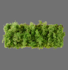 Plafonnier LED | Green Carl