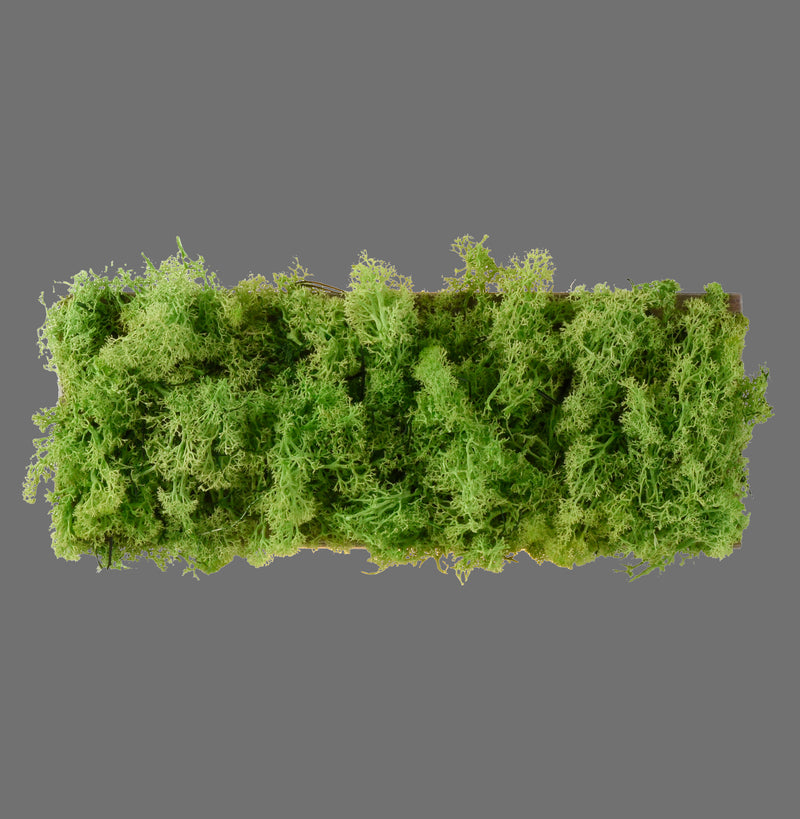 Plafonnier LED | Green Carl