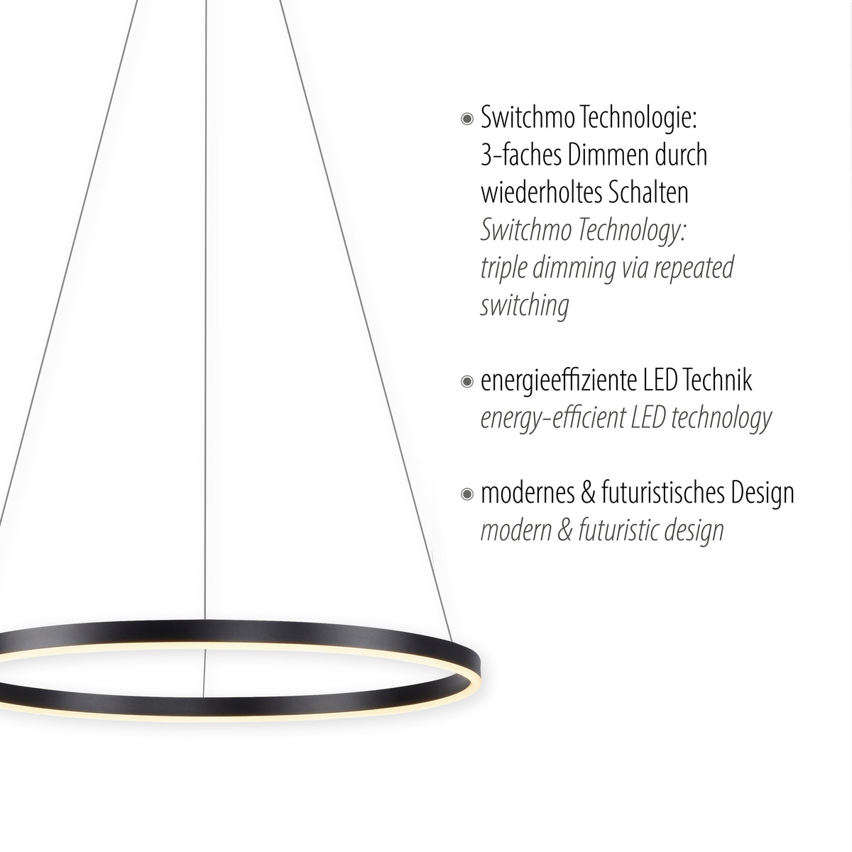 Détail de l'anneau noir et du bandeau lumineux, avec textes techniques à droite