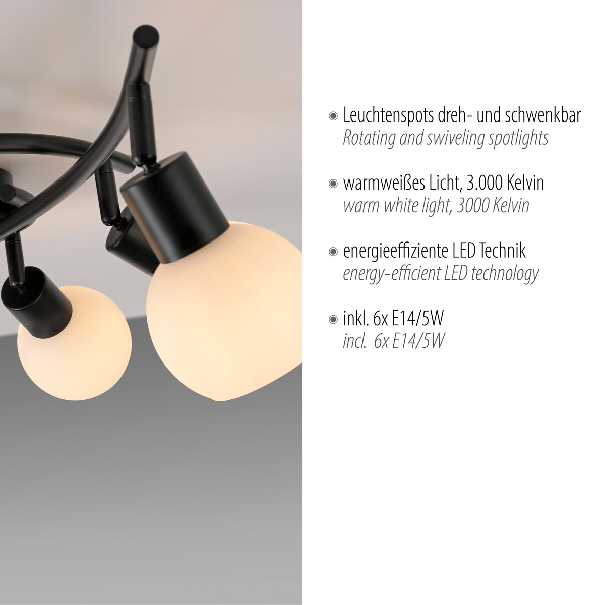 Détail des spots orientables accompagné des caractéristiques techniques du luminaire