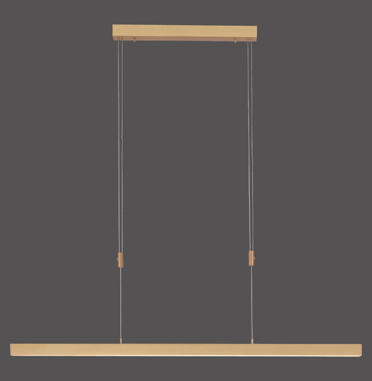 Vue de face sur fond gris : suspension linéaire à deux câbles et barre horizontale.