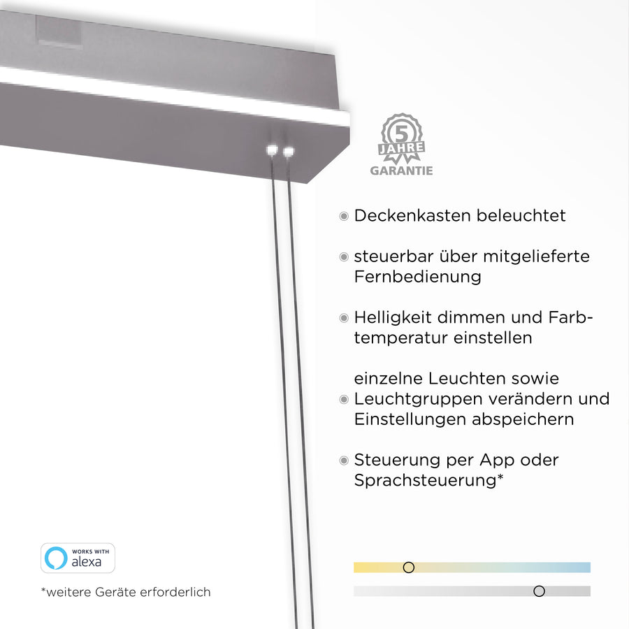 Détail du boîtier de plafond lumineux avec câbles et informations de garantie.