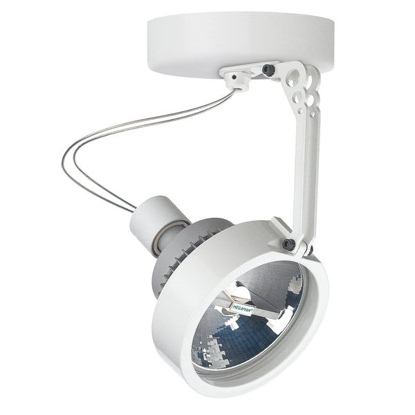 Spot en saillie orientable Haiti, pour ampoule GU10