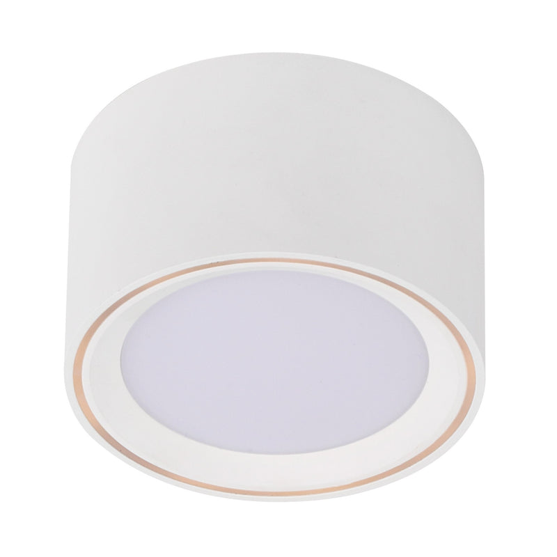 Spot LED | Fallon