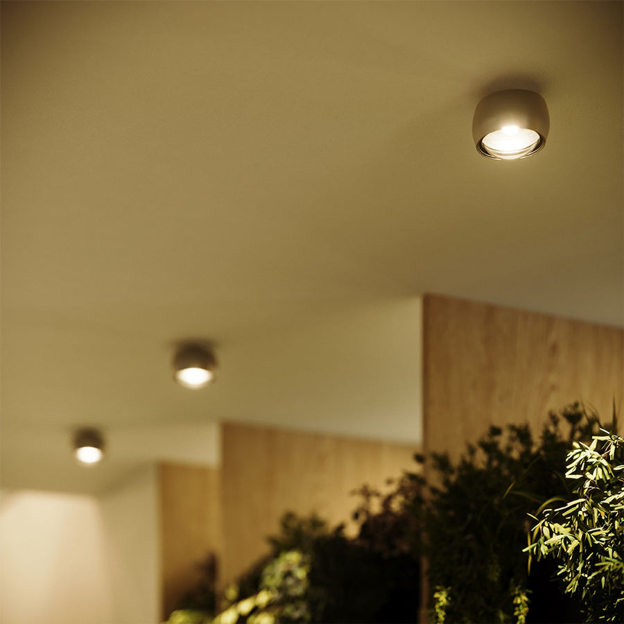 Vue en enfilade de plusieurs spots allumés au plafond près de plantes vertes