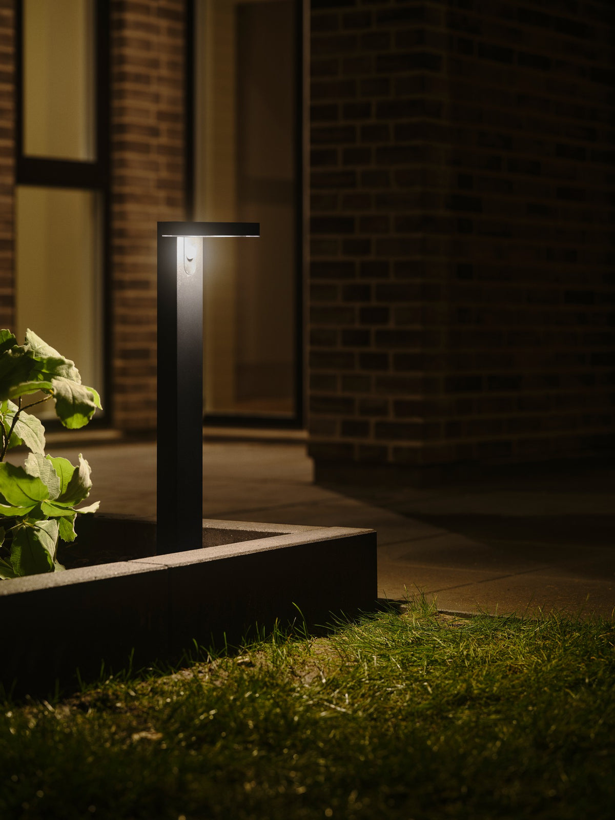 Mise en ambiance nocturne dans un jardin, éclairant une bordure en pierre