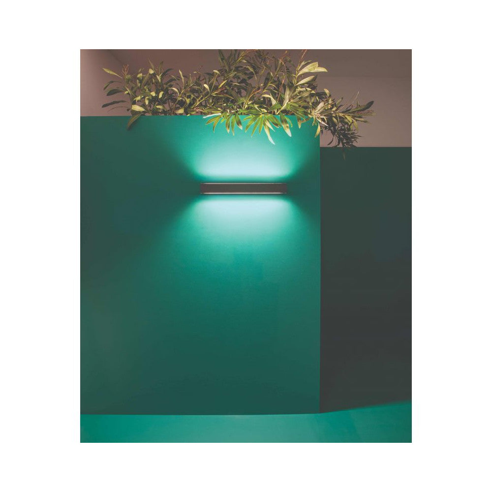 Applique Exterieure ZAMBELIS 30W IP65 DESIGN Graphite E227
