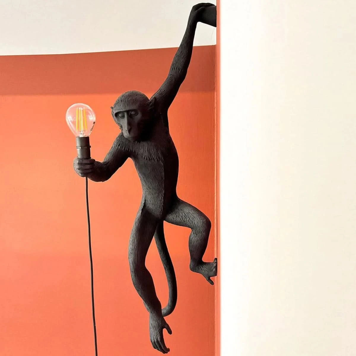 Vue de profil du singe noir devant un mur orange, tenant une ampoule allumée