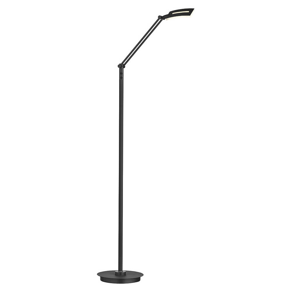 Lampadaire noir élancé vu de face, bras incliné et tête plate
