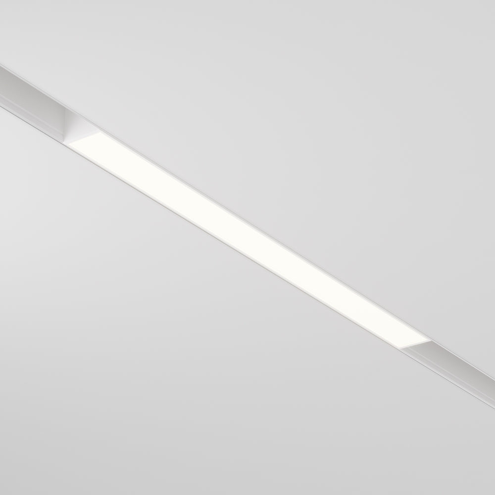 Basis Spot blanc