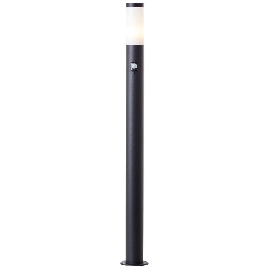 Vue de face sur fond blanc, borne noire avec diffuseur blanc et capteur.