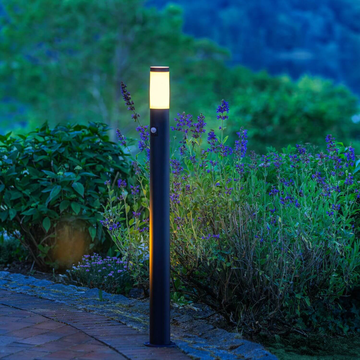 Mise en ambiance nocturne dans un jardin, borne allumée près de fleurs violettes.