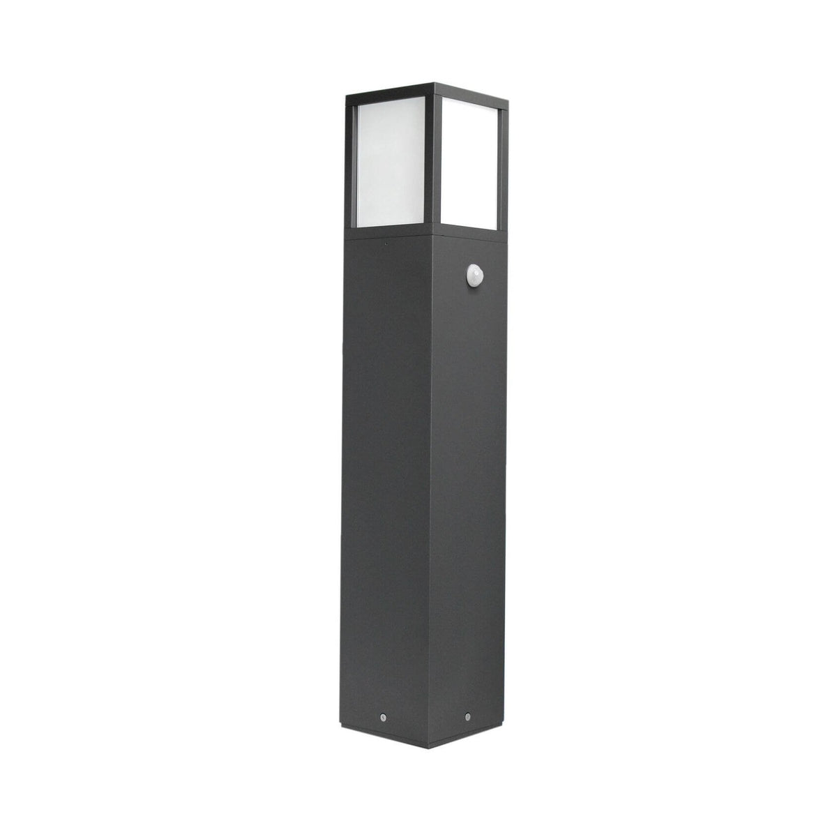 Luminaire extérieur anthracite vertical, face et côté, sur fond blanc.