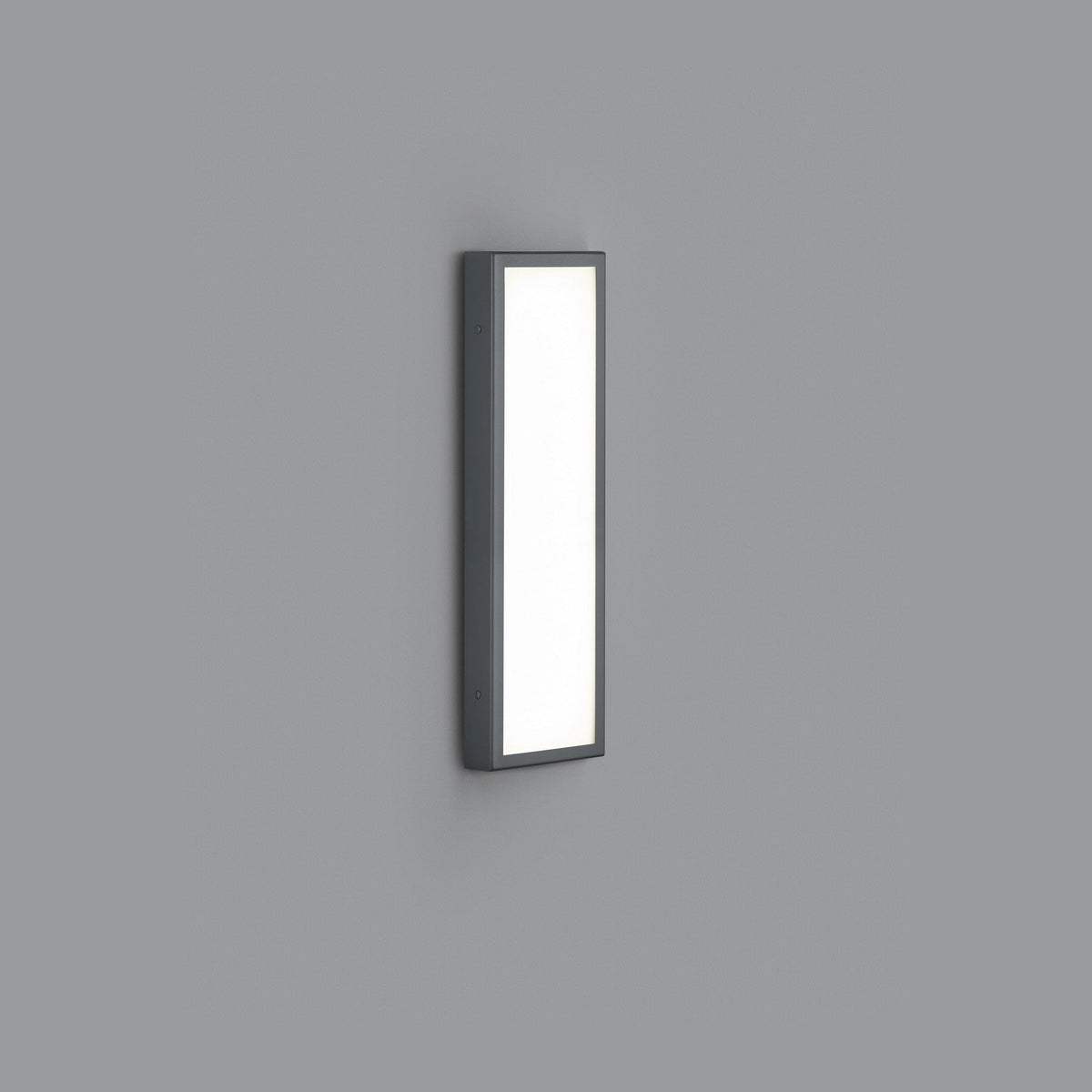 Applique extérieure Scala anthracite, L 45,5 cm