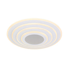 Luminaire plafonnier | Jocelyn Blanc