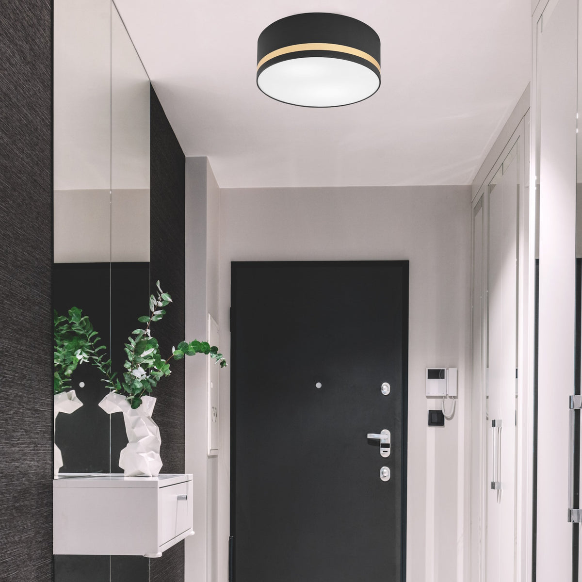 Plafonnier installé au plafond dans une entrée sombre avec porte noire et miroir.