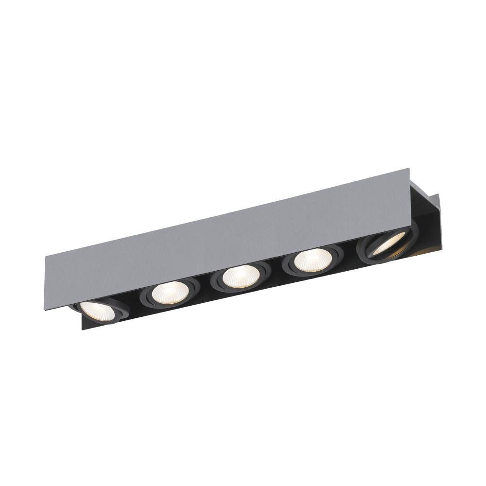 Plafonnier Vidago PRO argenté et noir (62951)