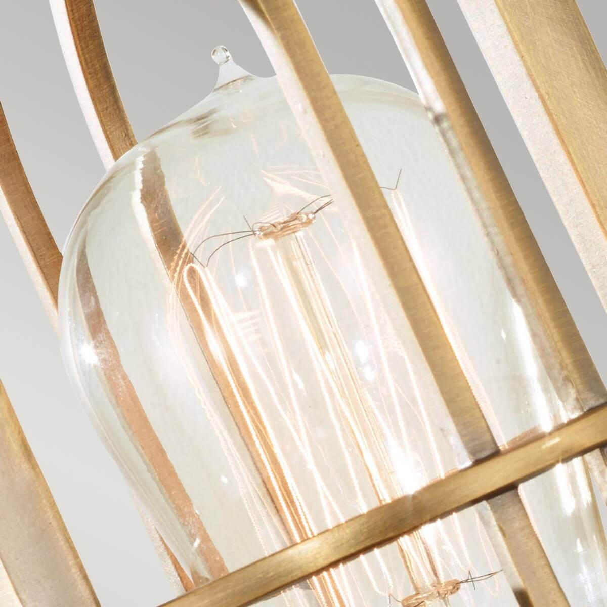 Zoom sur l'ampoule filetée transparente protégée par les tiges de la cage